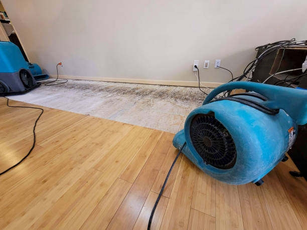 Professional Water Damage Repair technician working in Jonesville, KY